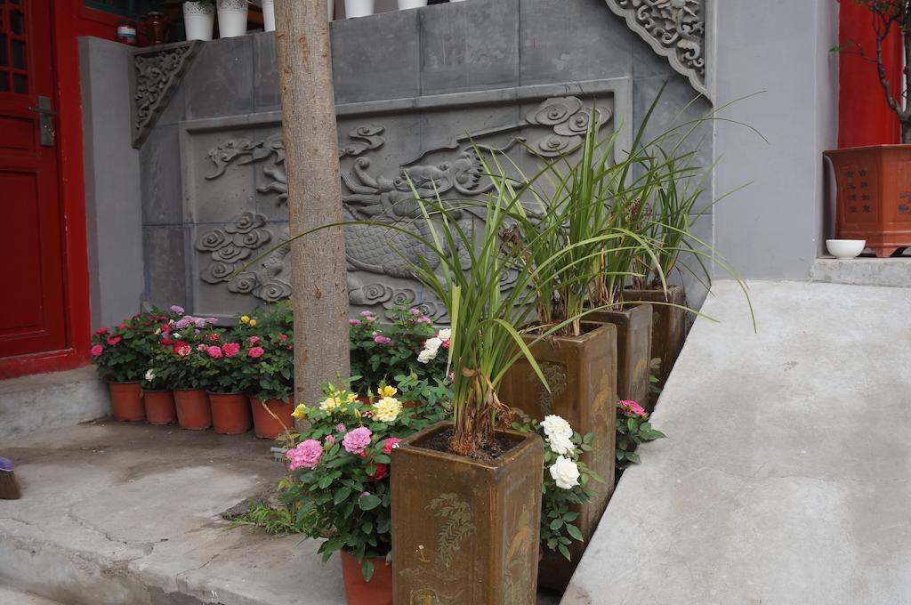 Songy Hundred-Year Courtyard Hotel Pekin Dış mekan fotoğraf